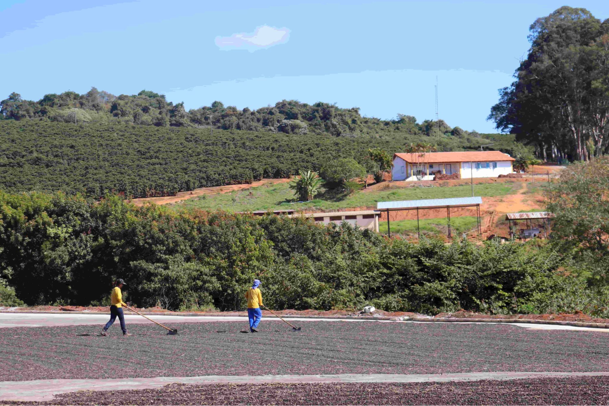 Sobre la finca