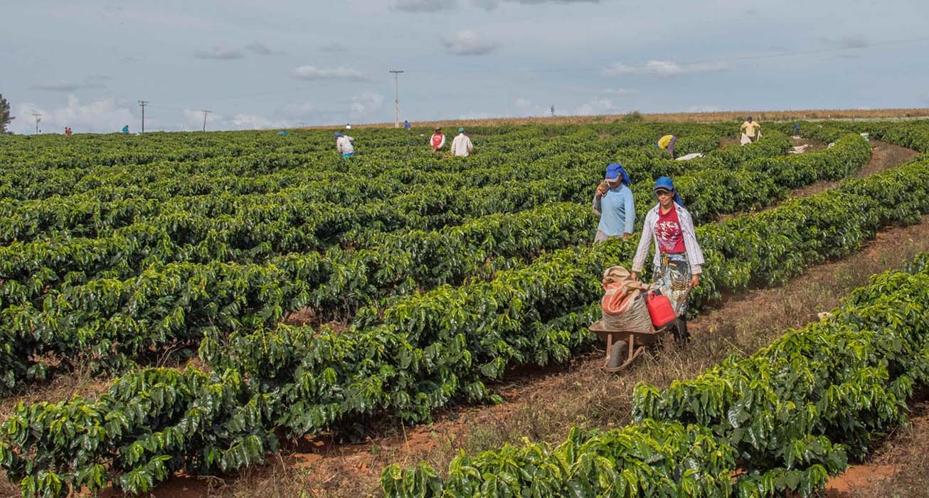 Sobre la finca