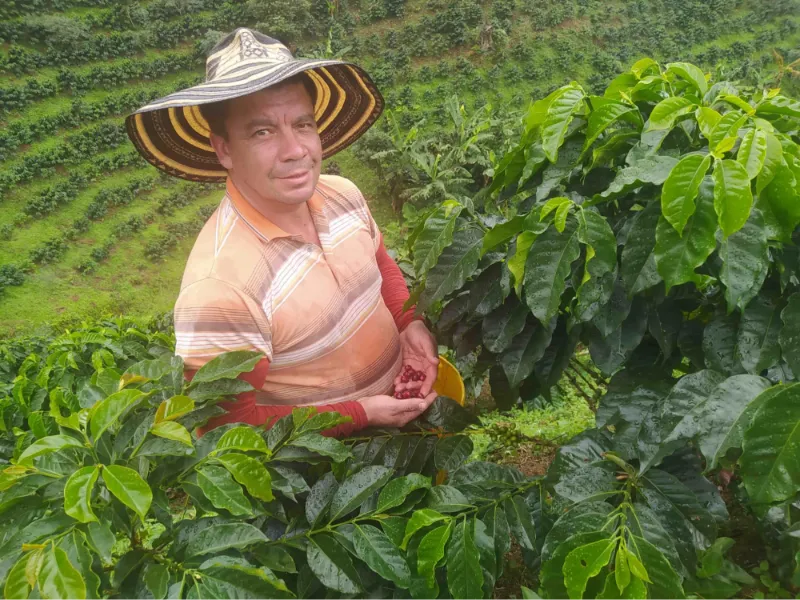 Sobre la finca